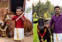 Pongal celebration prompt