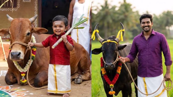 Pongal celebration prompt