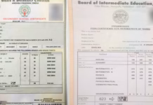 How to Download Your Digital Marksheet Online Without Visiting Your School Mark