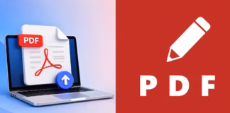 pdf editor